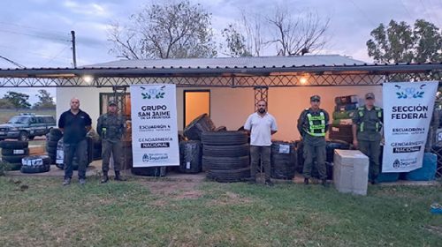 Autovía 14: Gendarmería secuestró neumáticos y mercadería sin documentación cerca de San Jaime