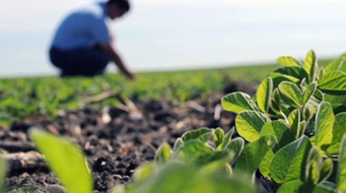 Presentaron el Programa de Productor Agropecuario Sustentable Entrerriano