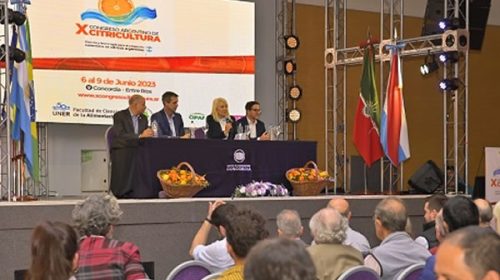 Congreso de Citricultura: Productores y empresarios debaten en Concordia la actualidad del sector