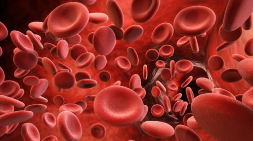 Un nuevo tratamiento para la hemofilia ya está disponible en Argentina
