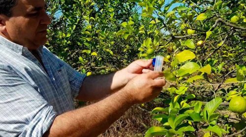 La provincia efectivizó la renovación del convenio con la Fecier para la lucha contra el HLB