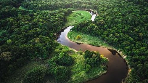 La deforestación de la Amazonía brasileña cae casi 34% en el primer semestre del año