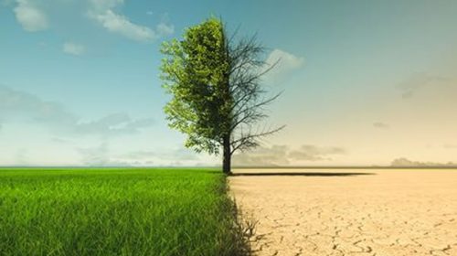 Advierten que el fenómeno de El Niño traerá altas temperaturas y propagación de enfermedades