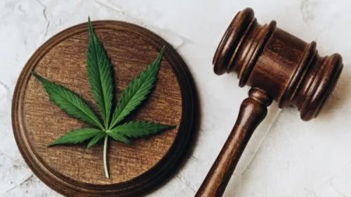 Otro país que avanza con la despenalización de las drogas