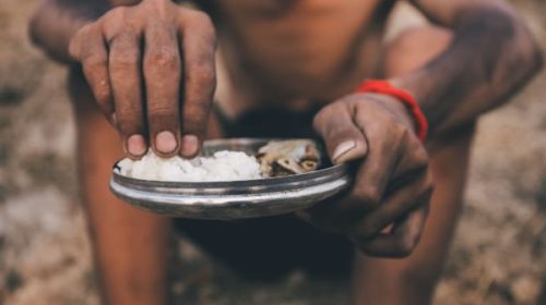 Estiman que 735 millones de personas sufren “hambre crónico” en el mundo
