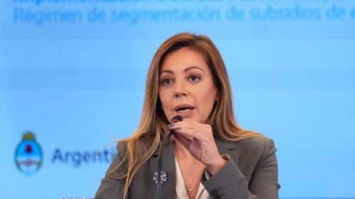 Royón expone en Diputados sobre el proyecto de ley para promover inversiones de GNL