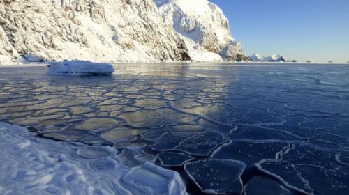 La Antártida no tuvo un desprendimiento, aseguran desde el Instituto Antártico Argentino