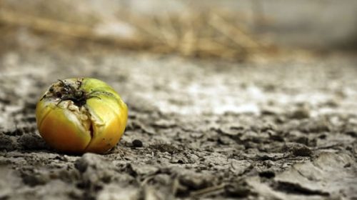 Cuáles serán las consecuencias del cambio climático actual en los próximos años