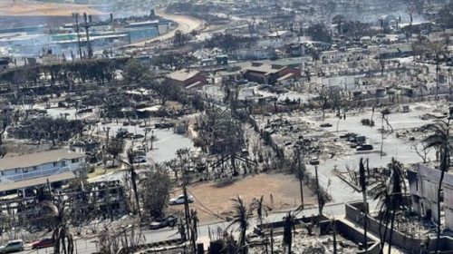 Incendios forestales en Hawái: aumentó a 106 el número de muertos Incendios forestales en Hawái: aumentó a 106 el número de muertos