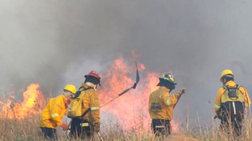 En Córdoba, por el viento norte y el calor anticipan que hay riesgo extremo de incendios forestales