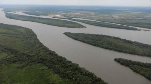 Realizarán una consulta pública para presentar el Plan de Manejo del futuro parque natural del río Uruguay
