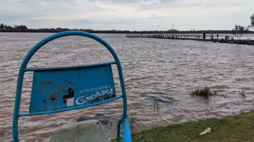 El río Uruguay no superará los 11,20 metros en Concordia según informaron desde CTM El río Uruguay no superará los 11,20 metros en Concordia según informaron desde CTM