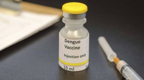 Llega al país la vacuna contra el dengue y el Gobierno comienza a definir la estrategia sanitaria Llega al país la vacuna contra el dengue y el Gobierno comienza a definir la estrategia sanitaria