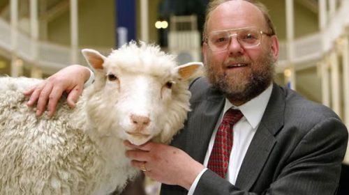 Murió Ian Wilmut, el padre de la oveja Dolly: fue el primer científico en clonar un mamífero