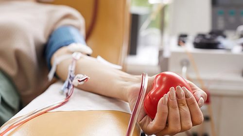 Destacan la importancia de donar médula ósea a través del Registro Nacional de Donantes de CPH