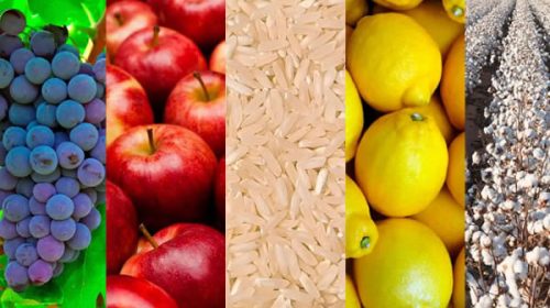 Economías regionales: ya es oficial la eliminación de retenciones