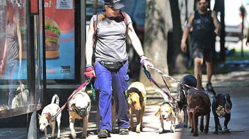 Trabajadores informales: abre la inscripción para los refuerzos de ingresos