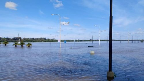 Tras varios días de creciente, el río Uruguay empieza a dar un respiro