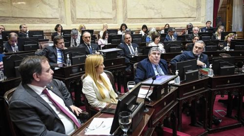 Senado: El debate de Alquileres entró en pausa