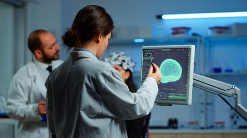 Investigadores argentinos descubren que el cerebro genera neuronas para remodelar memorias