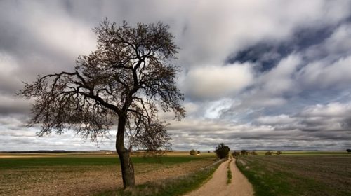 Anticipan hasta 21°C, nubosidad y probables lluvias en Entre Ríos