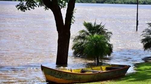 El Comité Operativo de Emergencia de Concordia recorre zonas inundables