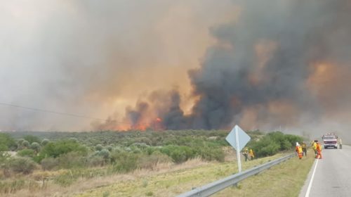Siguen las tareas para frenar incendios forestales con alerta roja en San Luis