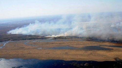 Condenaron a dos apicultores por un incendio intencional en las islas del Delta del Paraná