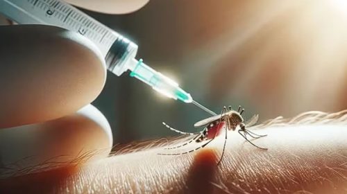 Anuncian que la vacuna contra el dengue ya se encuentra disponible en la Argentina
