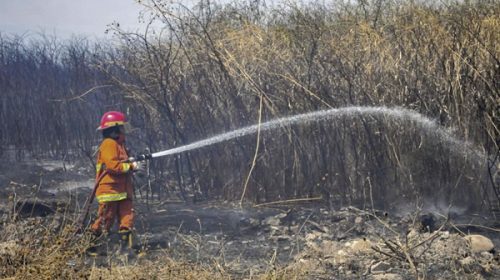 Están contenidos los tres incendios que afectaron a las sierras de Córdoba