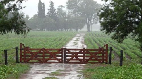 Nuevas lluvias en la región núcleo mejoran las perspectivas agrícolas