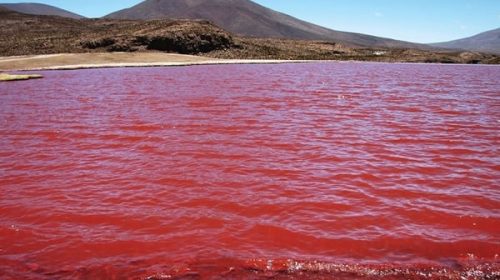 Misterio natural: por qué el Río Nilo se tiñó de rojo Misterio natural: por qué el Río Nilo se tiñó de rojo