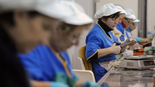 El Ministerio de Trabajo aprobó la creación del Plan Nacional de Empleo El Ministerio de Trabajo aprobó la creación del Plan Nacional de Empleo