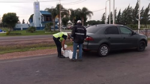 Paso Cerrito: Volvieron a secuestrar vacunas contra la encefalomielitis equina cerca de Chajarí