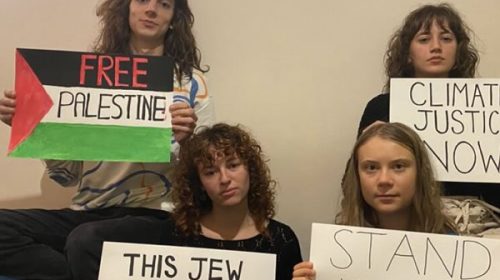 “No se puede ser neutral ante un genocidio”, dice Greta Thunberg