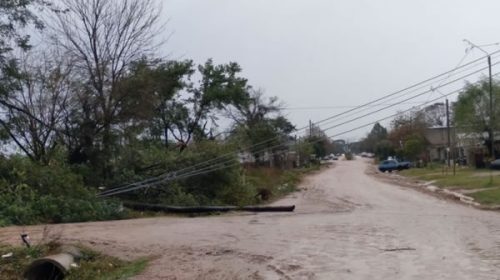 Suministro eléctrico: las recomendaciones de Enersa tras el temporal