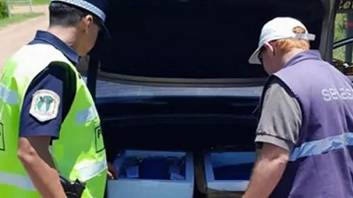 Autovía 14: La policía detectó partidas ilegales de vacunas contra la encefalomielitis cerca de Chajarí