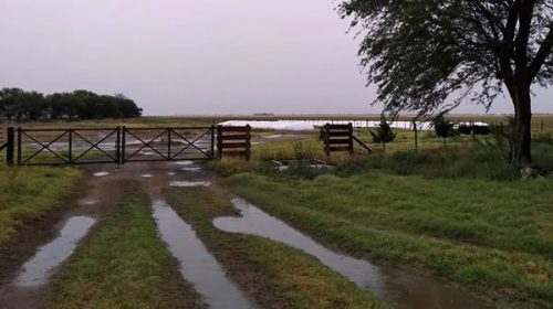 El “exceso significativo” de lluvias complica al campo en Entre Ríos