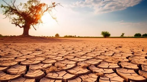 Alerta para el agro: crecen las posibilidades de una nueva sequía por La Niña