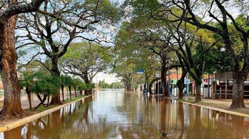 Ya son 258 personas las evacuadas por la crecida del río Uruguay en Concordia