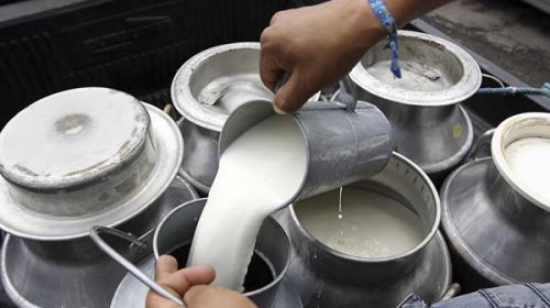 Advierten por malos números en la lechería: cayó 14% la producción y 18,7% el consumo