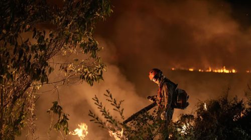 Incendios arrasaron humedales de Brasil y calcinaron animales