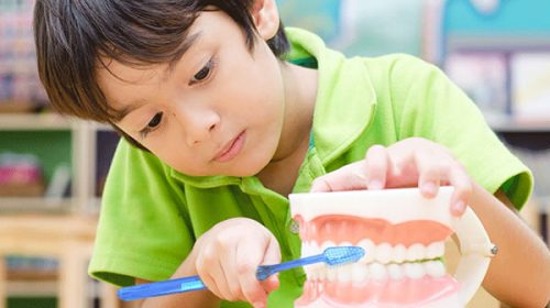 Entre Ríos se prepara para la Campaña de Salud Bucal en las Escuelas 2024