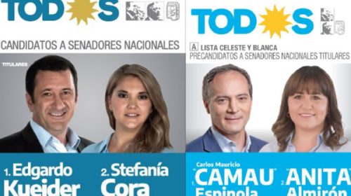 Cristina apuntó contra dos senadores peronistas que votaron a favor de la Ley Bases