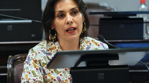 Polémica en el Senado: Lucila Crexell confirmó su traspaso a la UNESCO, pero negó que sea por el apoyo a la ley Bases