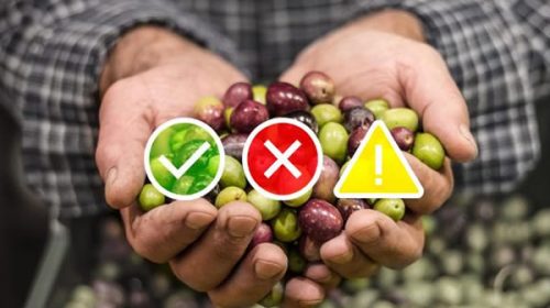 Inflación: Coninagro reveló que muchas cadenas productivas empeoraron en el último tiempo