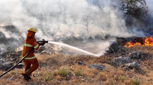 Fuerte incendio en Córdoba: los bomberos combaten el fuego en el Cerro Champaquí