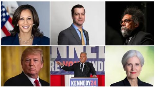 Quiénes son los seis candidatos para las elecciones presidenciales de EEEUU