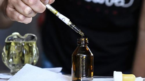 El cannabis medicinal podría ser un complemento en el tratamiento de la diabetes