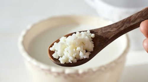 Kéfir: la bebida ancestral con probióticos que buscan producir de manera industrial